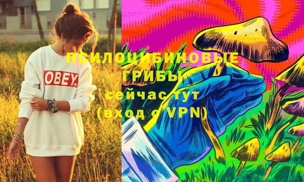 прущие крисы Нефтекумск