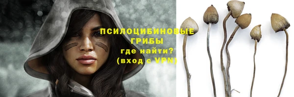твердый Нефтегорск