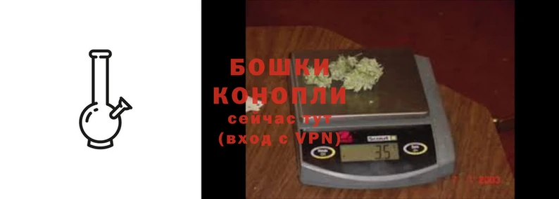 прущие крисы Нефтекумск