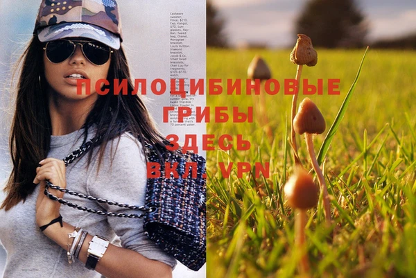прущие крисы Нефтекумск