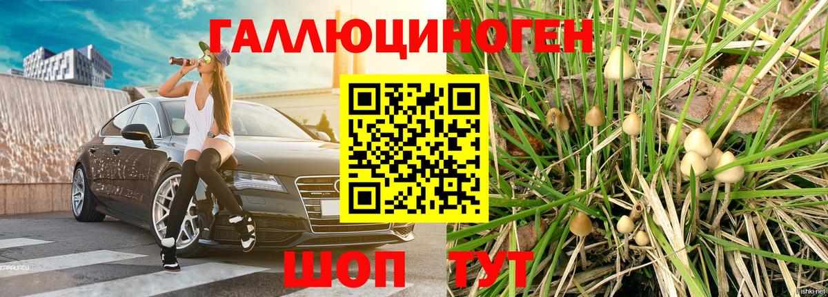 Галлюциногенные грибы ЛСД  Благодарный  Псилоцибиновые грибы ЛСД 