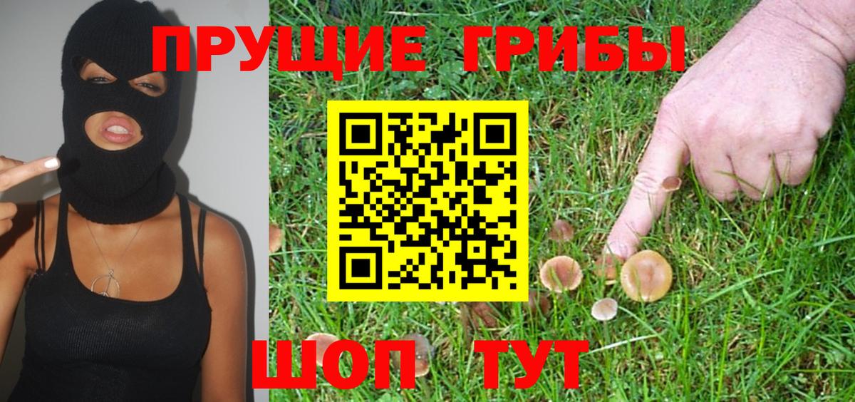 Псилоцибиновые грибы ЛСД Благодарный